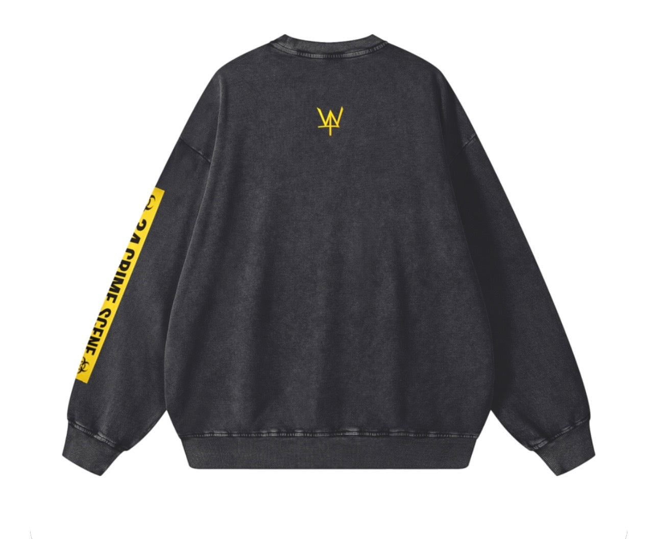 Snow Washed Oversized Established Sweatshirt