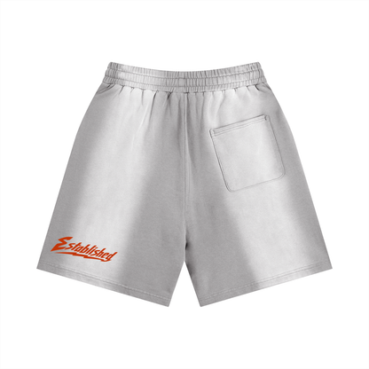 Established Sun Fade Distressed Shorts